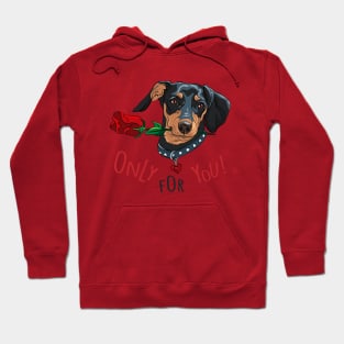 Dog breed Dachshund with red flower Hoodie